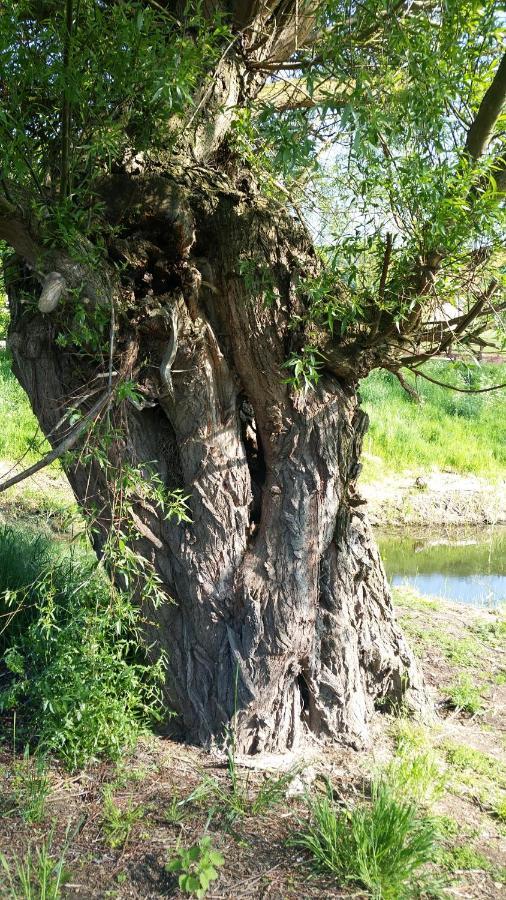 Willowcroft Alkborough Bagian luar foto